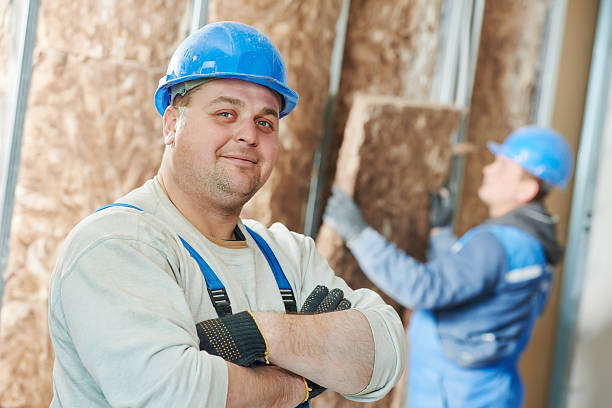 Best Insulation Installation Services in Minot Af, ND